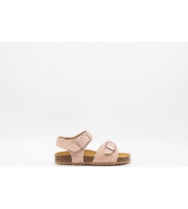 PLAKTON POXY ALGO LOGICO CORAL