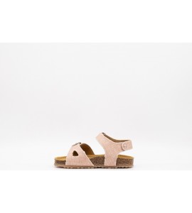 PLAKTON POXY ALGO LOGICO CORAL
