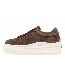 BARRACUDA donna sneaker BD1625 V2975 SUEDE PEPE