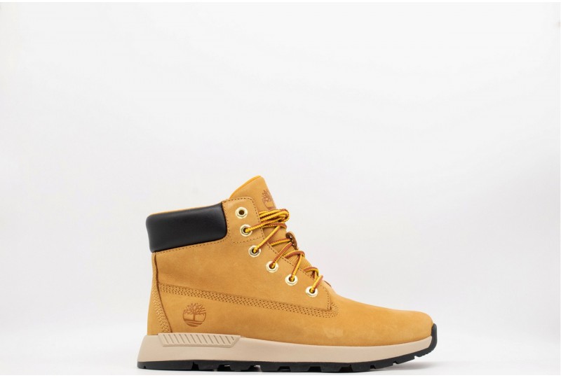 TIMBERLAND  Sneaker...